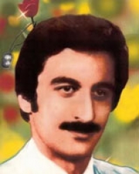 زندگي و زمانه استاد شهيد كامران نجات الهي