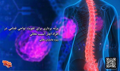 تمرین وزنه‌برداری برای تقویت نواحی قدامی جانبازان نخاعی